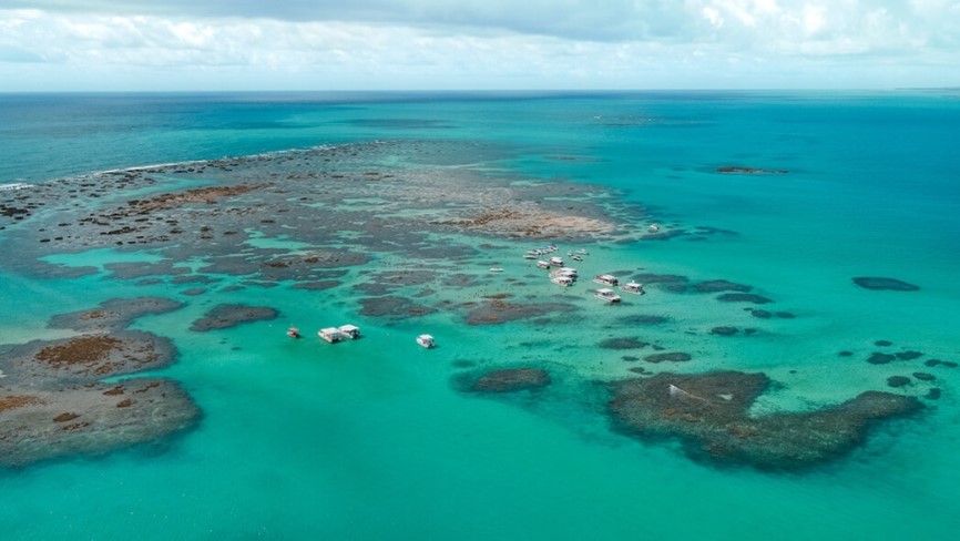Os TOP 5 Melhores - https://www.salinas.com.br/post/gales-piscinas-naturais-de-maragogi