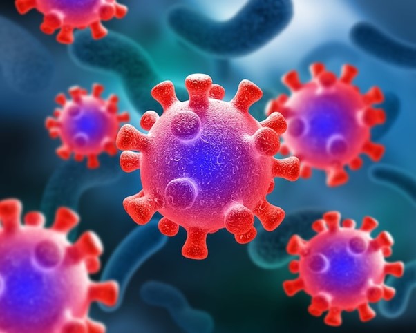 Os TOP Melhores - As TOP 4 benefícios da Vitamina C - TOP 1 - Fortalecimento do Sistema Imunológico