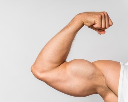 Os TOP Melhores - Os TOP 4 benefícios da Glutamina - TOP 2 - Recuperação Muscular